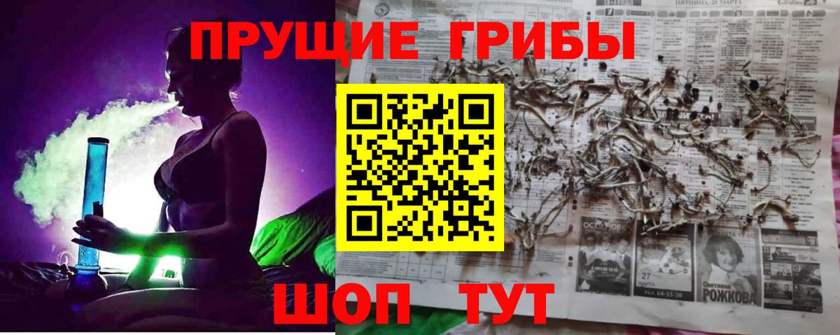 Галлюциногенные грибы прущие грибы  где можно купить наркотик  Муром  Вход с VPN 