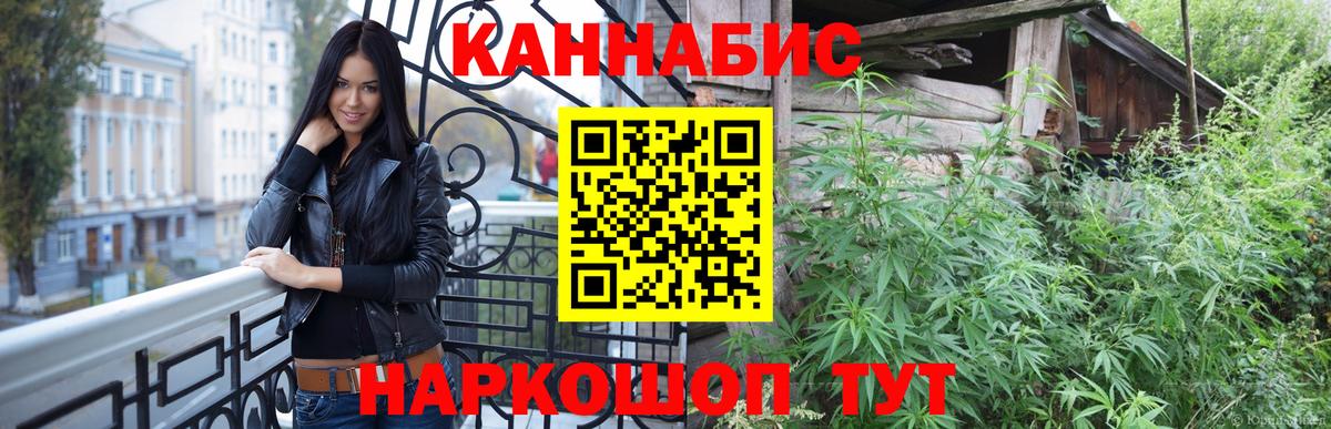 Бошки Шишки гибрид  Канабис сатива  Муром  Бошки Шишки семена  Вход с VPN 